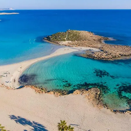 Anassa *